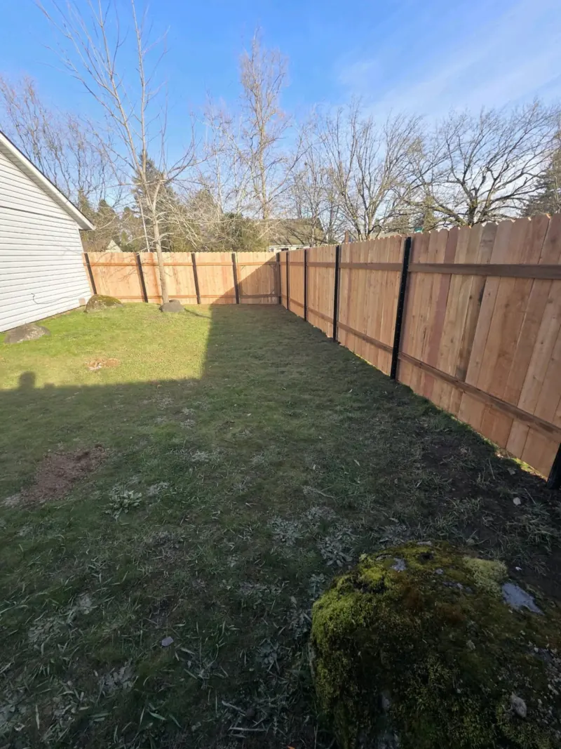 Cedar privacy fence along a grassy side yard on a sunny day