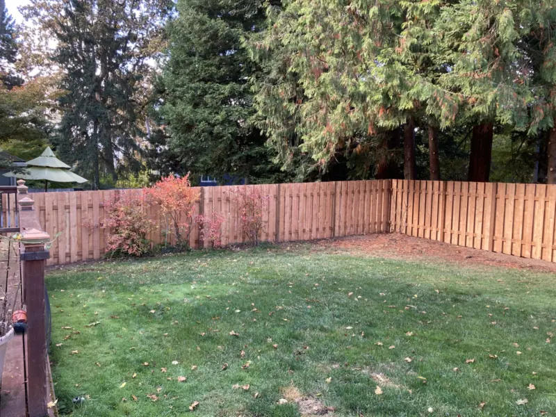 Cedar board-on-board fence enclosing a green lawn, with tall evergreens behind